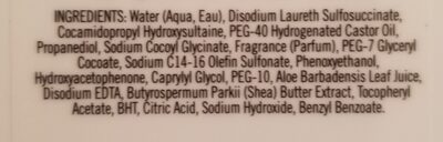 Black Cherry Merlot Gentle & Clean Foaming Hand Soap - 2