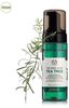 Tea Tree skin clearing foaming cleanser - Product