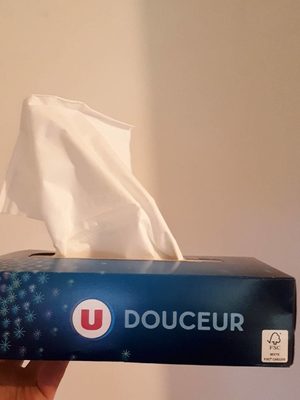 Mouchoirs Blanc 3 Plis U, Boîte De - 製品 - fr