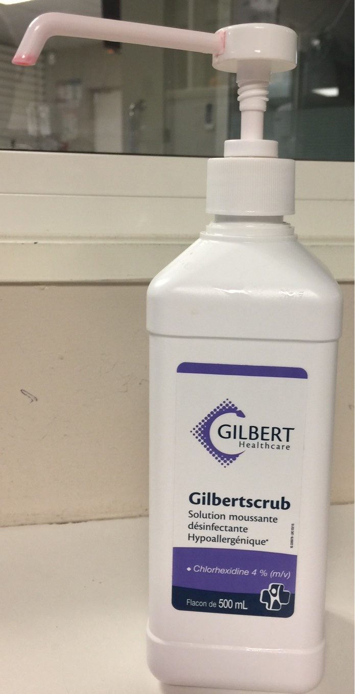 Gilbertscrub - Produktas - fr