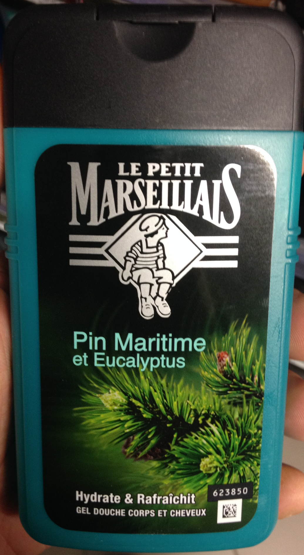 Pin maritime et Eucalyptus - Product - fr