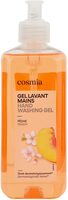 Gel lavant mains - Produit - fr