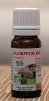 Eucalyptus Radiata Bio - Produit - fr