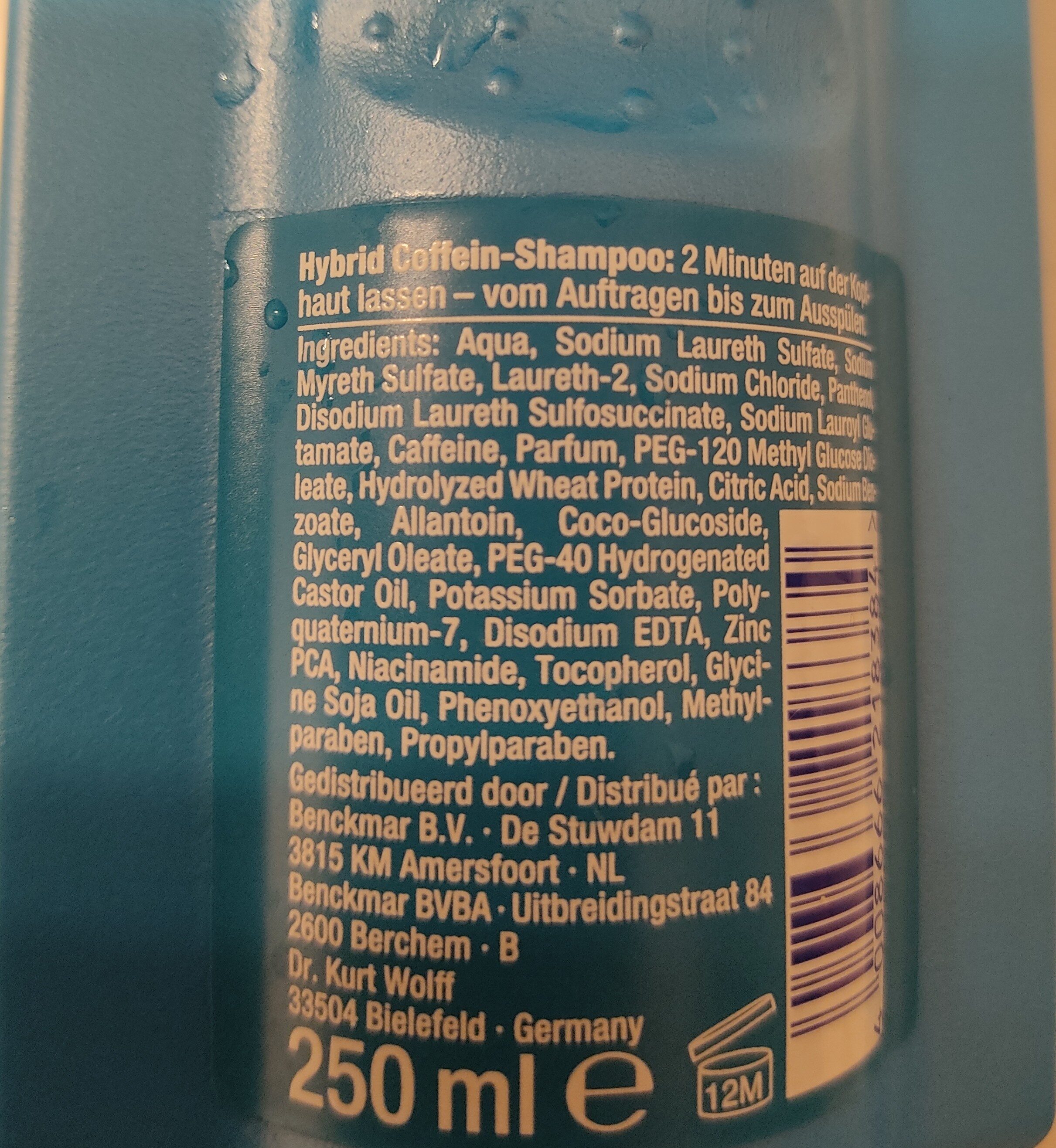 shampoo - Ingredients - en