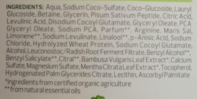 Volumen Shampoo Bio-Bambus Bio-Orangenminze - Ingredients - de