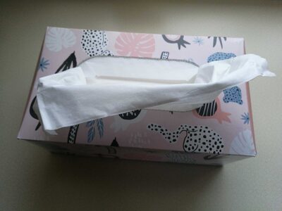 Soft & Sicher Taschentücher - Produkt - de