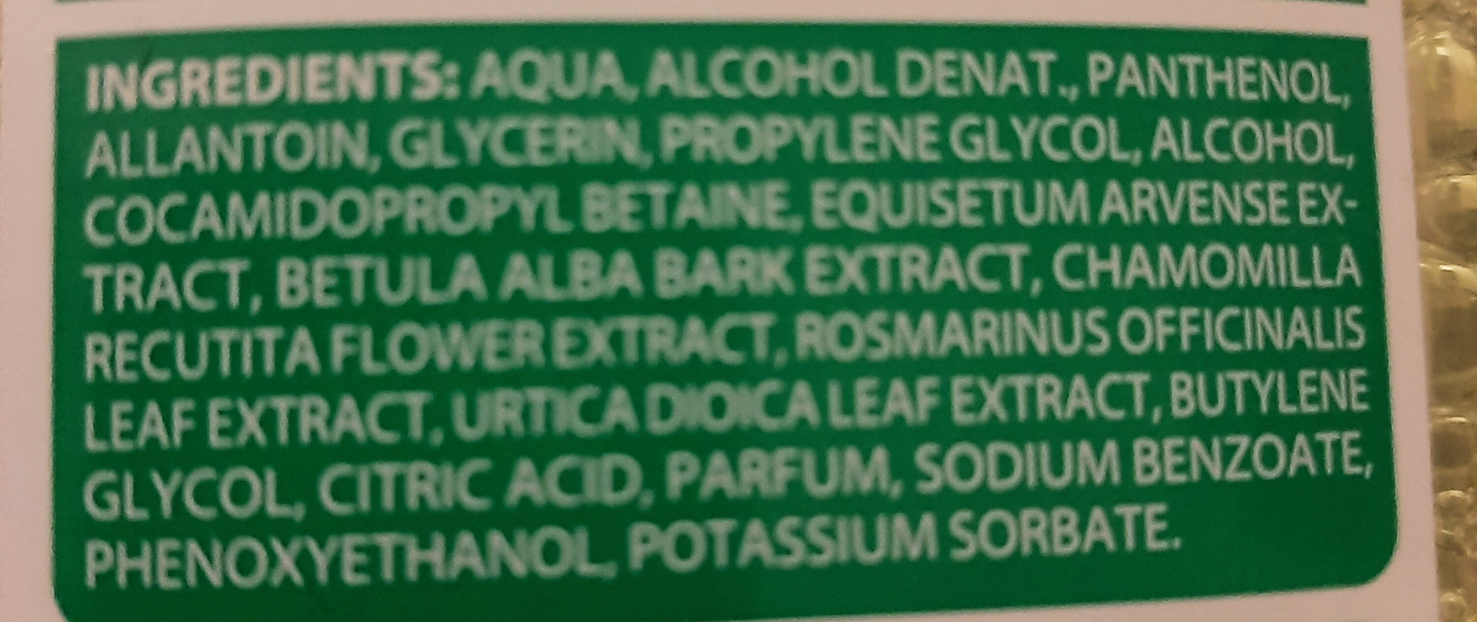 Birken Haarwasser - Ingredients - de