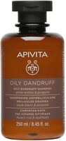 Oily dandruff shampoo - Tuote - es