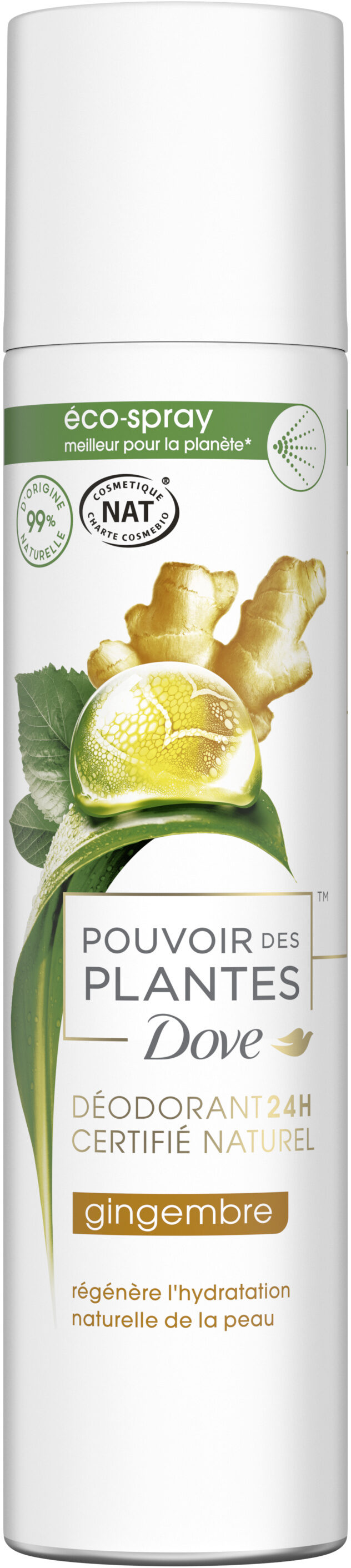 DOVE Déodorant Femme Spray Pouvoir des Plantes Gingembre 75ml - Produit - fr