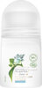 DOVE Déodorant Femme Bille Certifié Bio Pouvoir des Plantes Eucalyptus 50ml - Product