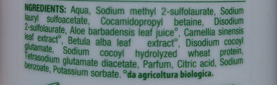 Bagno Schiuma Thè Verde e Betulla - Ingredients - it