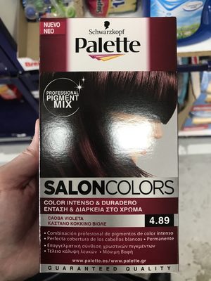 Palette Salon Colors 4.89 - 1