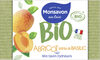 Monsavon BIO Savon Solide certifié Bio Abricot Pointe de Basilic 100g - Product