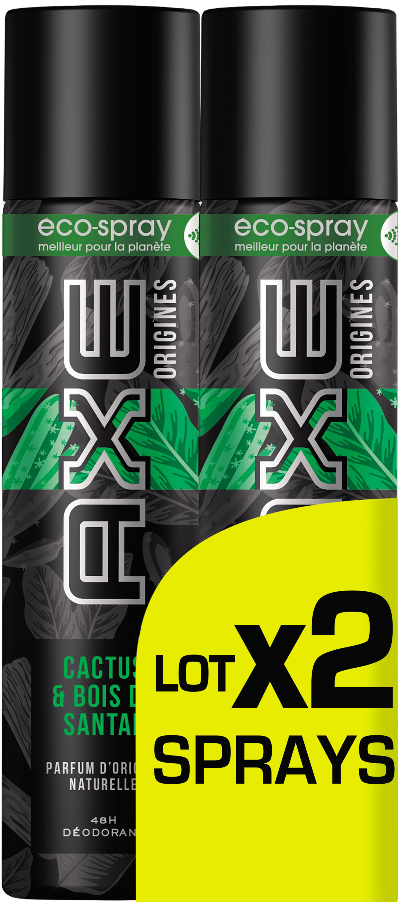 AXE Déodorant Homme Spray Origines Cactus Lot 2X75ml - Produit - fr