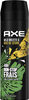 Axe Déodorant Homme Bodyspray Wild 48h Non-Stop Frais 200ml - Produit